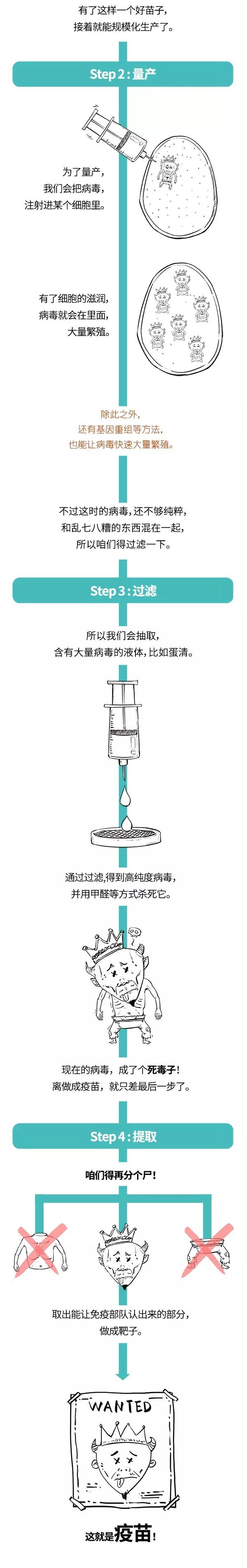 疫苗的規(guī)?；a.jpg