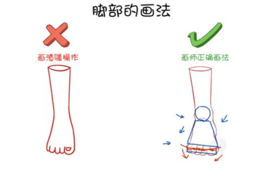 中間的這條線是用來(lái)確定腳趾關(guān)節(jié)的.png