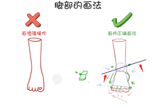 在腳腕的地方，畫出一些凸出來(lái)的踝關(guān)節(jié)，一定要記住里面的踝關(guān)節(jié)會(huì)比外面的踝關(guān)節(jié)要高，能形成一個(gè)傾斜的坡度。.png
