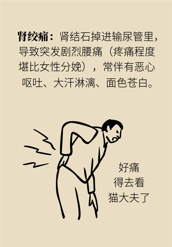 結(jié)石科普：身體里多了各種結(jié)石，應(yīng)該怎么辦？