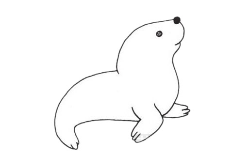 海獅簡(jiǎn)筆畫(huà)圖片