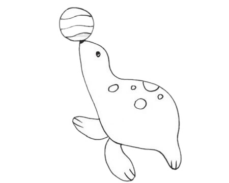 海獅簡(jiǎn)筆畫(huà)圖片