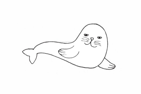 海獅簡(jiǎn)筆畫(huà)圖片