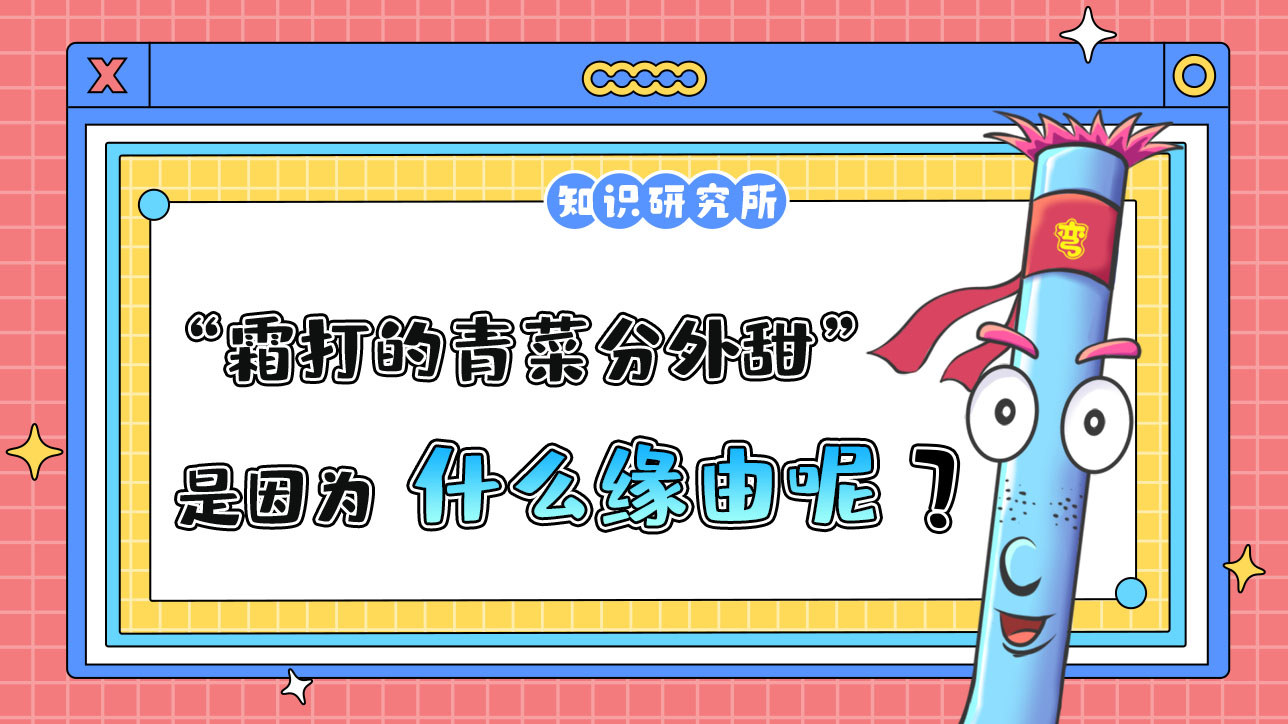 俗話說(shuō)“霜打的青菜分外甜”，是因?yàn)槭裁茨兀?jpg