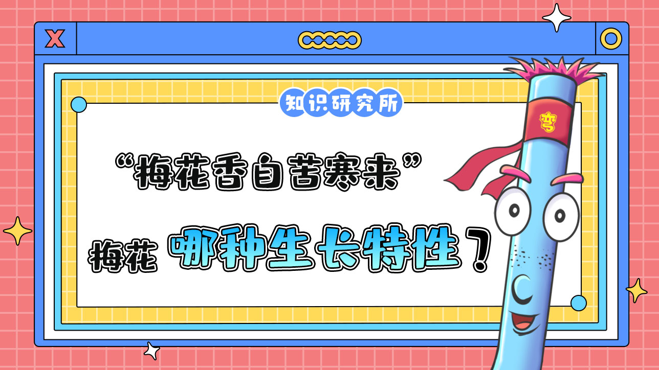 “梅花香自苦寒來”說的是梅花的哪種生長特性？.jpg
